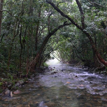Heritage Lodge In The Daintree Cape Tribulation Dış mekan fotoğraf