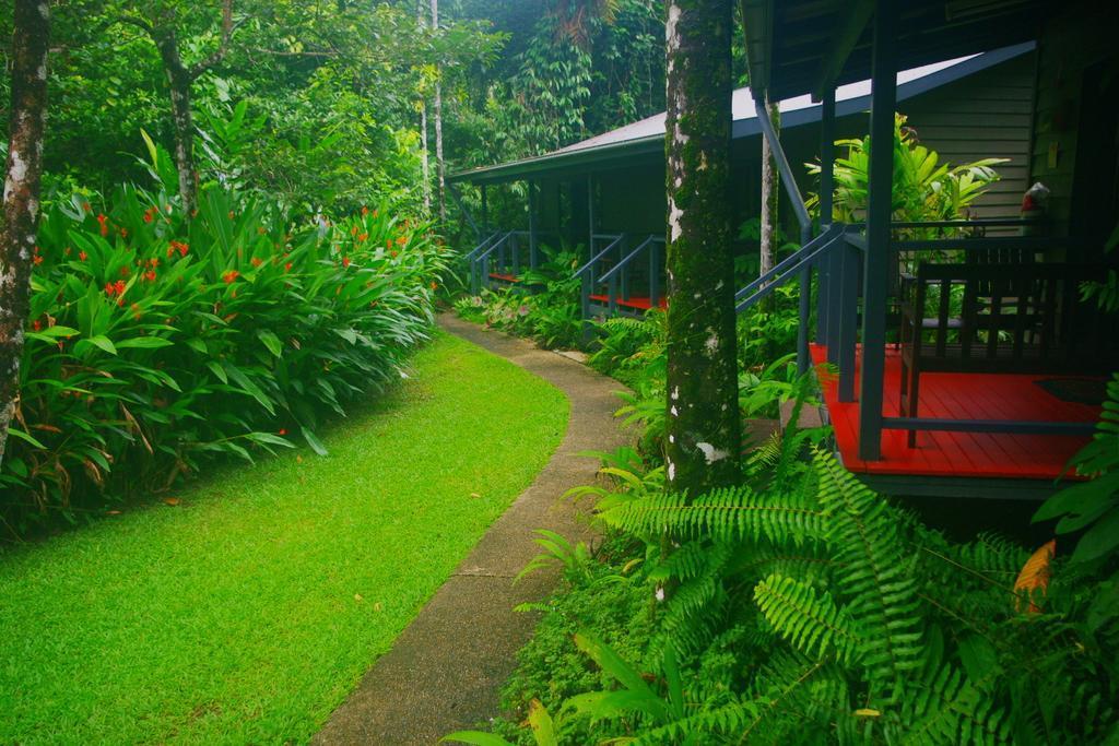 Heritage Lodge In The Daintree Cape Tribulation Dış mekan fotoğraf