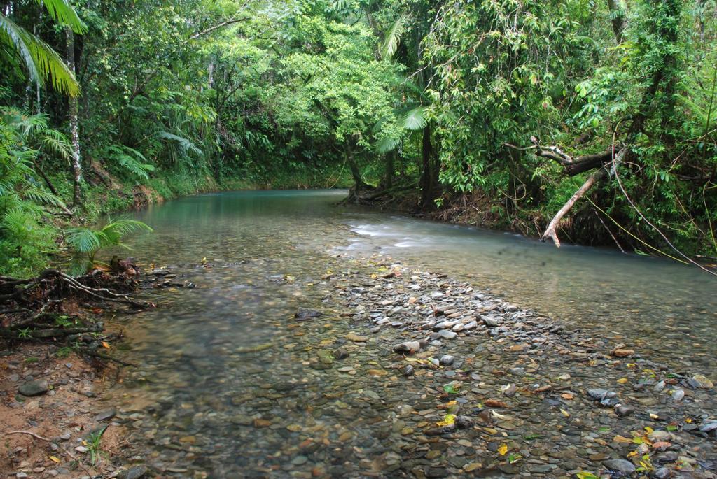 Heritage Lodge In The Daintree Cape Tribulation Dış mekan fotoğraf