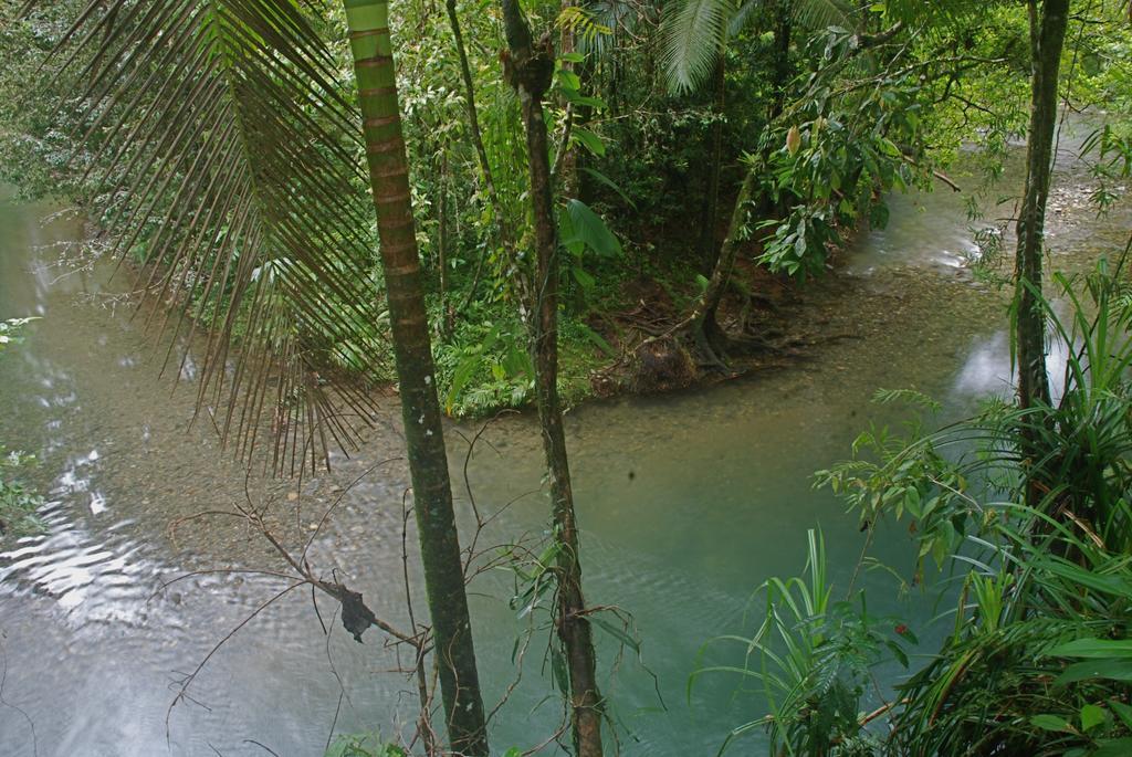Heritage Lodge In The Daintree Cape Tribulation Dış mekan fotoğraf